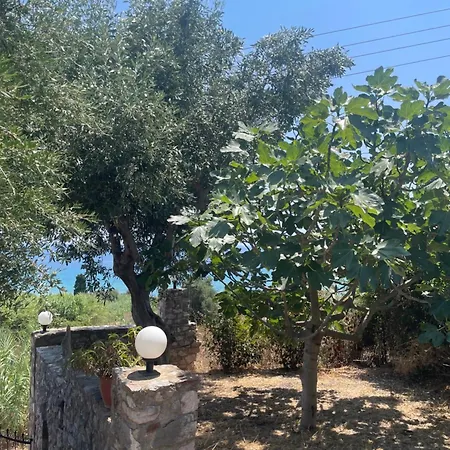 Villa Olive&sea Koróni