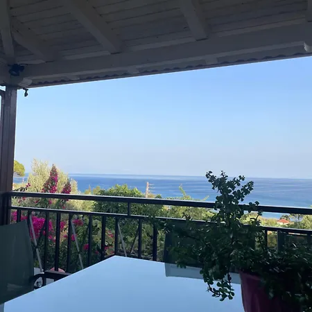 Olive&sea