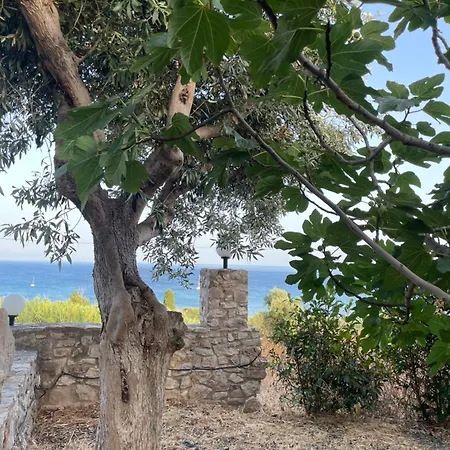 Olive&sea